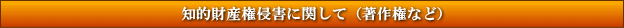 知的財産権侵害に関して(著作権など)